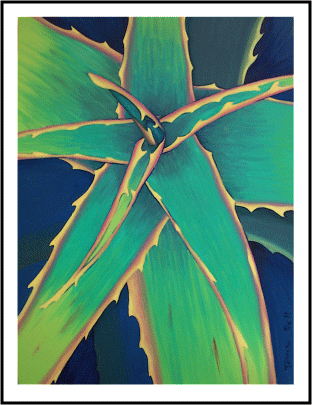 Aloe Study v.2007.03.29