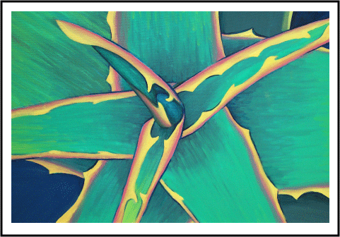 Detail of Aloe Study v.2007.03.29
